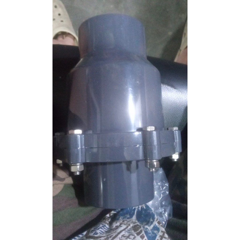 swing check valve 2 inch