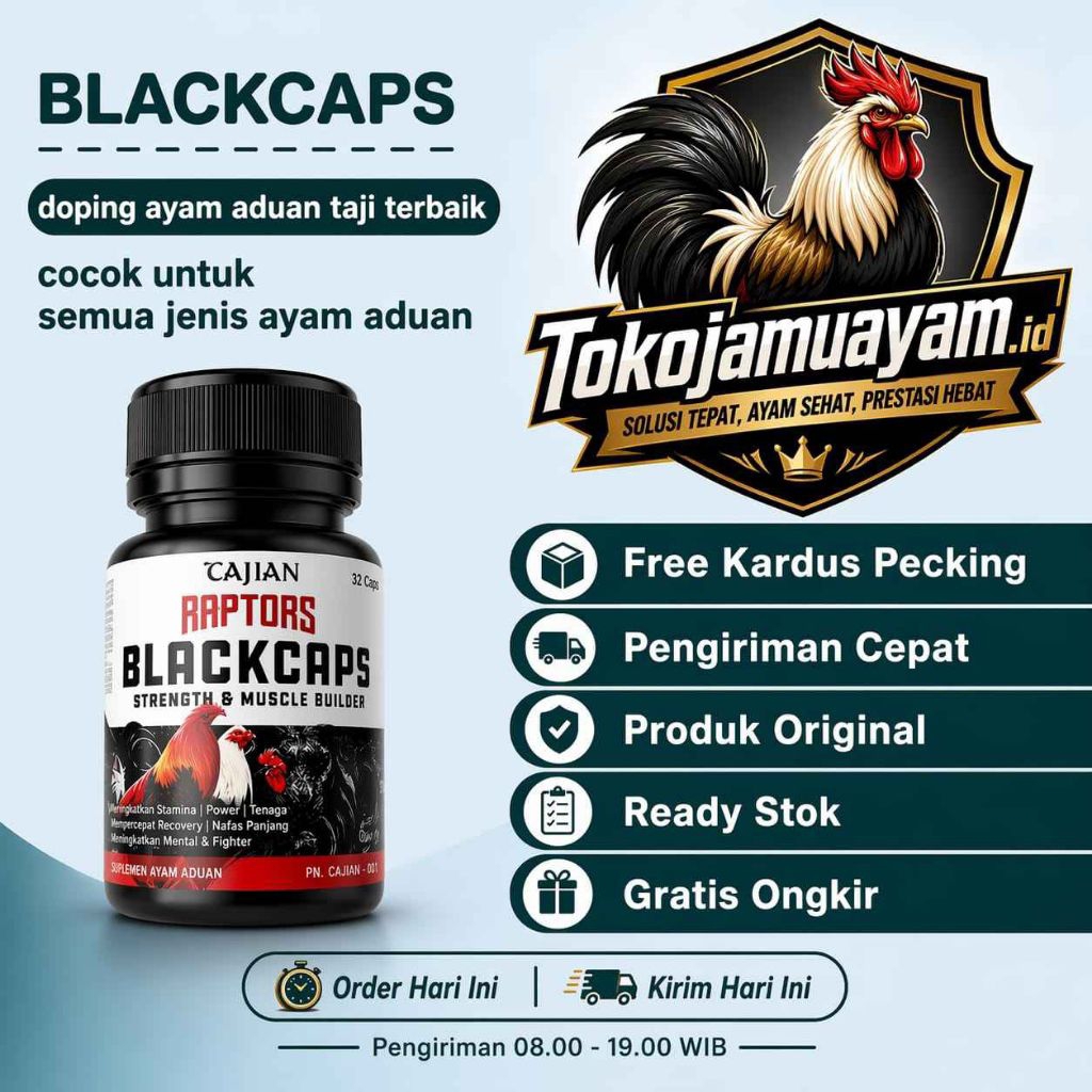 TAJIAN RAPTORS BLACKCAPS Doping Ayam Tajian Laga VVIP 30 Capsul Menambah Massa Otot Recharge Stamina