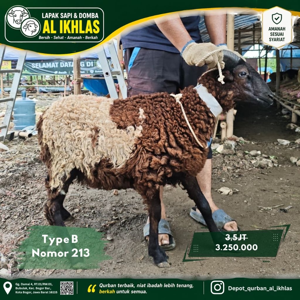 Hewan Qurban By Rumah Qurban.com