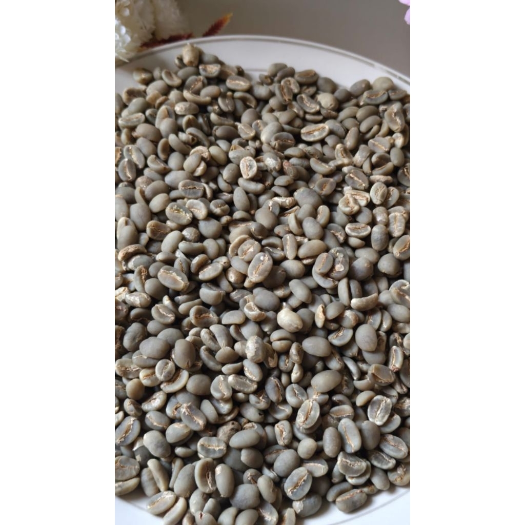 Green Bean / Biji kopi arabika enrekang kalosi 1 kg