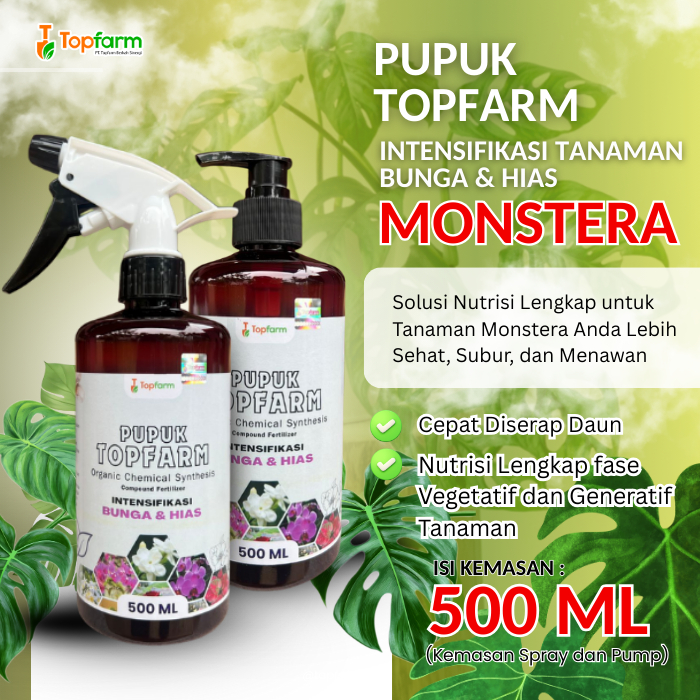 Pupuk Topfarm Terbaik / Pupuk Khusus Hias Daun Monstera Siap Pakai / Pupuk Bunga Monstera Variegata 