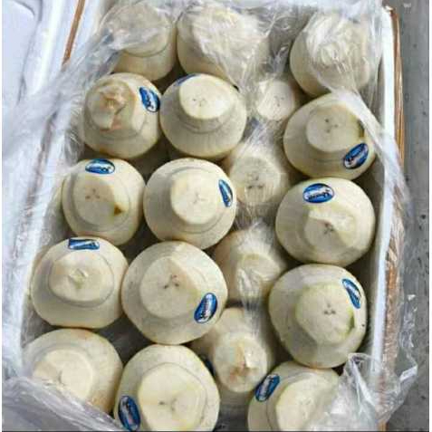 Degan Jelly
