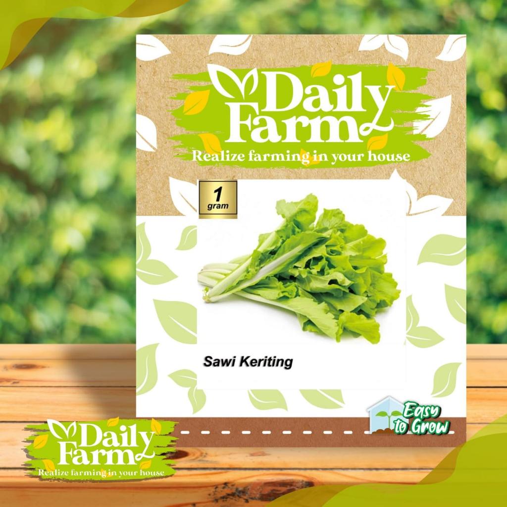 Daily Farm Benih Bibit Sawi Keriting - Sawi Samhong Keriting