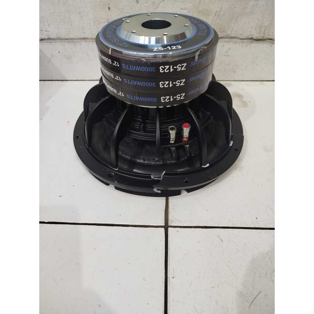 SUBWOOFER 12 INCH DOUBLE COIL - SUB 12INCH