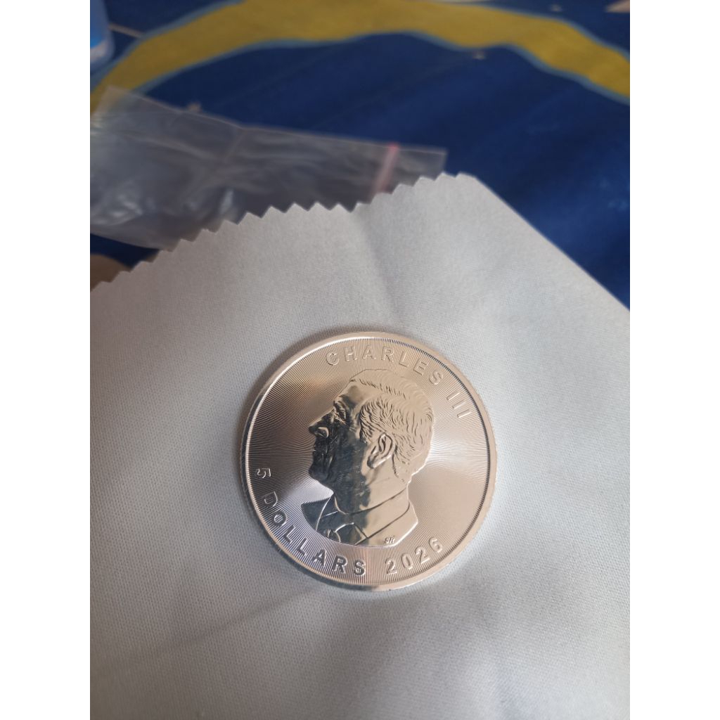 Royal Canadian Mint Silver Coin Maple Leaf 1 oz/31,1 gram RCM Canada