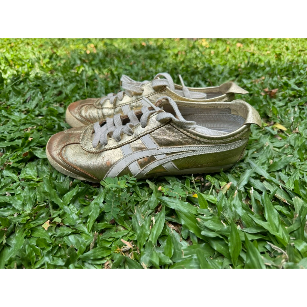 Onitsuka Tiger Mexico 66 Gold/White