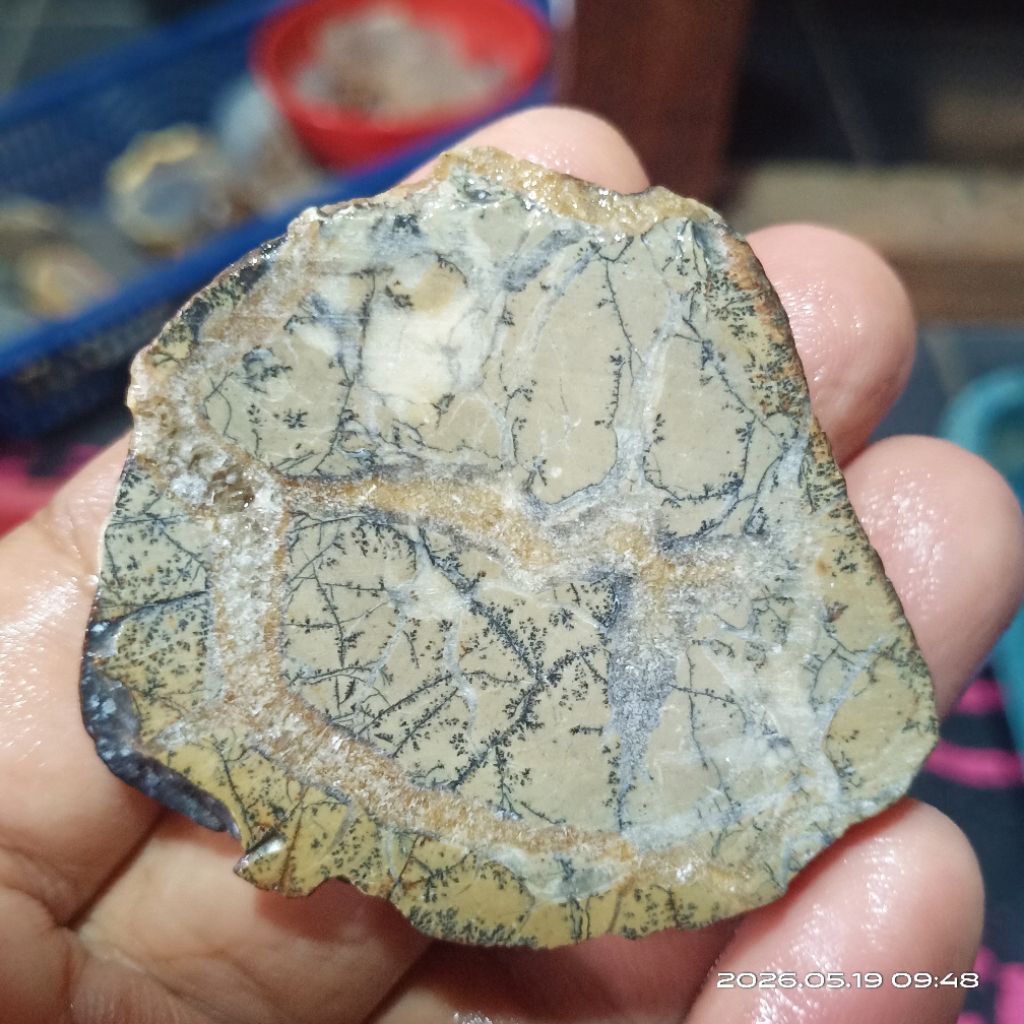 Lempengan Bahan Batu Akik - Rough Batu Akik Gambar - Rough Dendrite