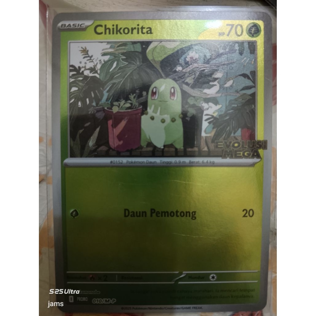 Pokemon Chikorita evolusi mega