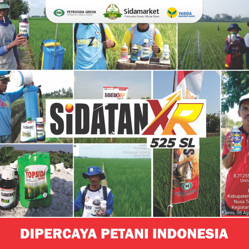 Insektisida Sidatan XR 525 SL
