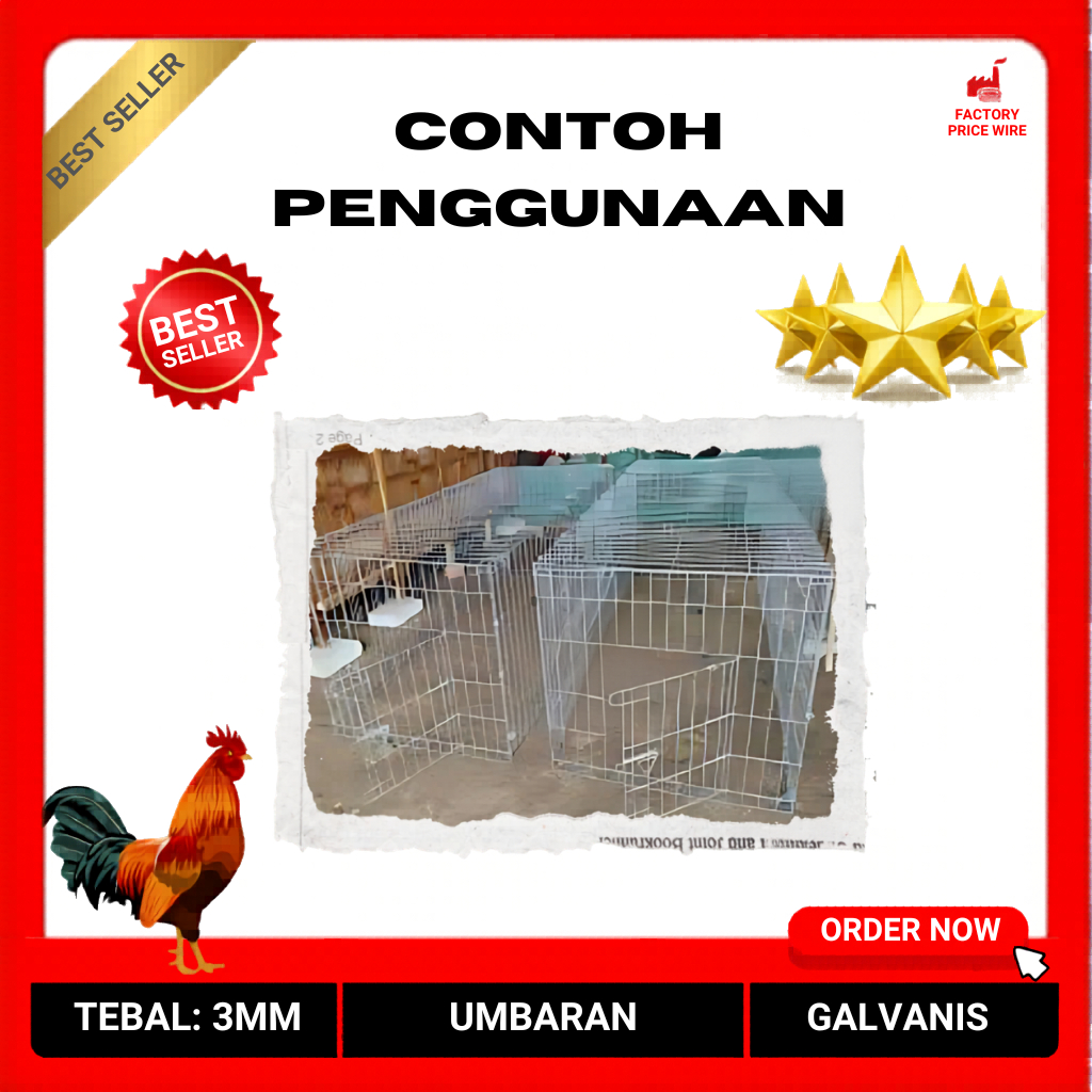 Xcamellyaa Kandang Ayam Umbaran Galvanis Jumbo Ukuran 120X80X80Cm 160X80X80Cm & 240X80X80Cm Best