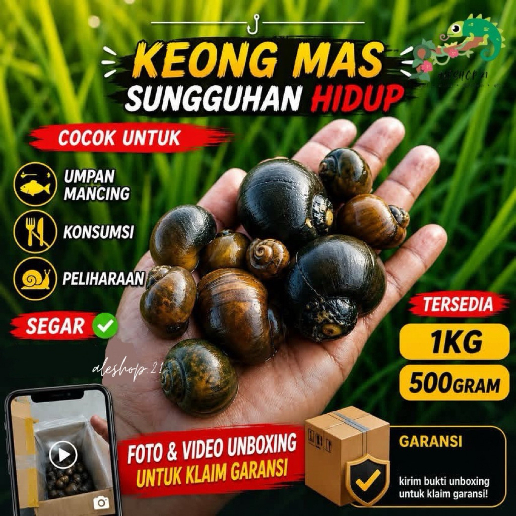 keong mas sawah