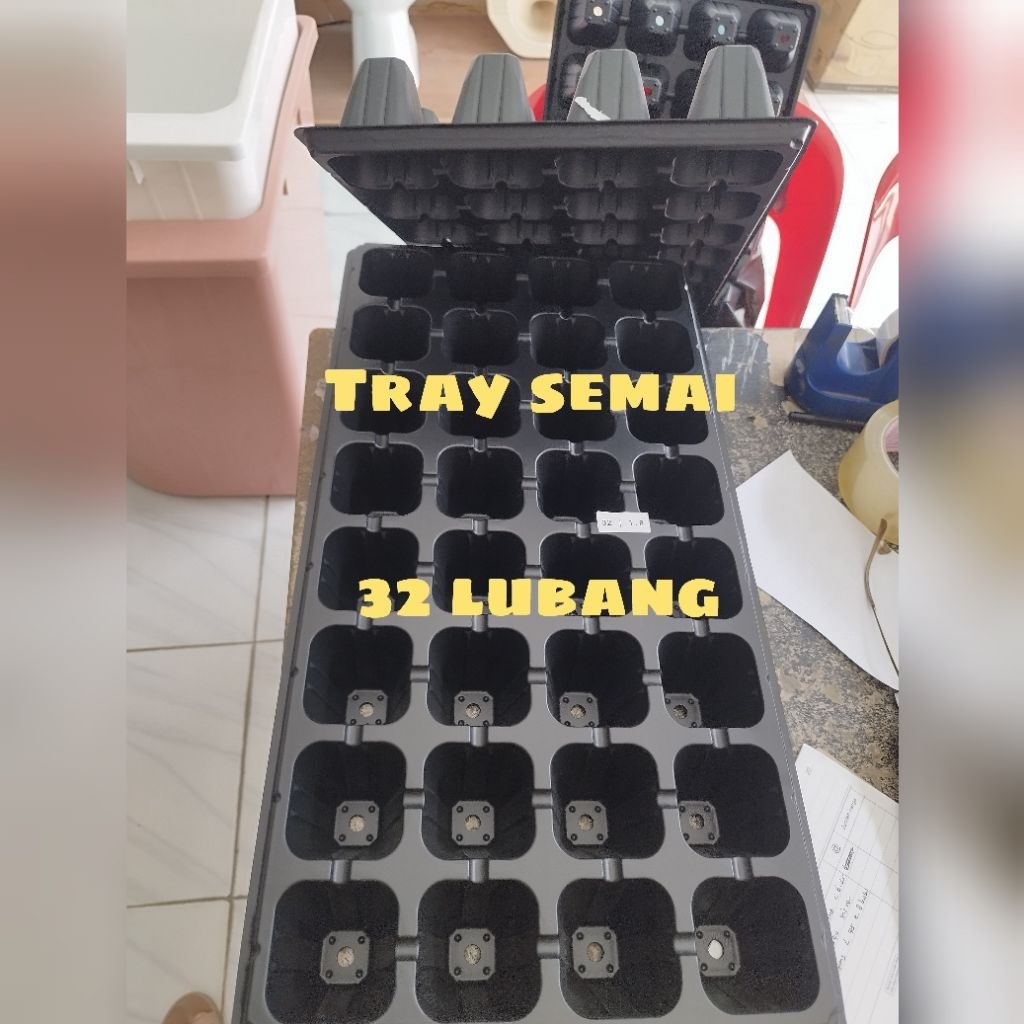 (Medan)TRAY SEMAI 32 LUBANG