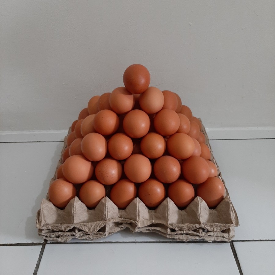 CBM AGEN Telor ayam negeri Fresh isi 1 kg ( 15 - 18 butir )