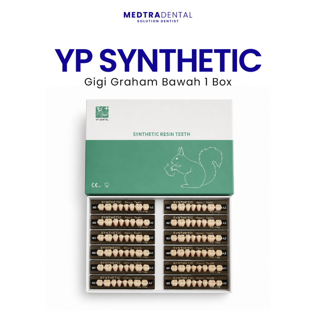 Medtradent - Gigi Sintesis YP Dental Graham Bawah 1 Box