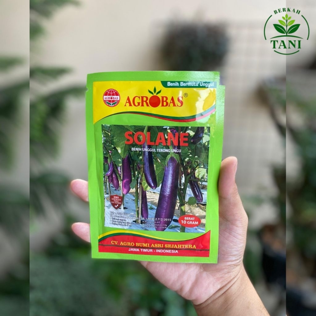Benih Bibit Unggul Terong Ungu Solane by Agrobas 10gr