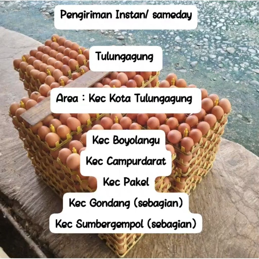 TELUR AYAM NEGERI HORN 1KG CANGKANG COKLAT - TELUR PUYUH (INSTAN KIRIM)