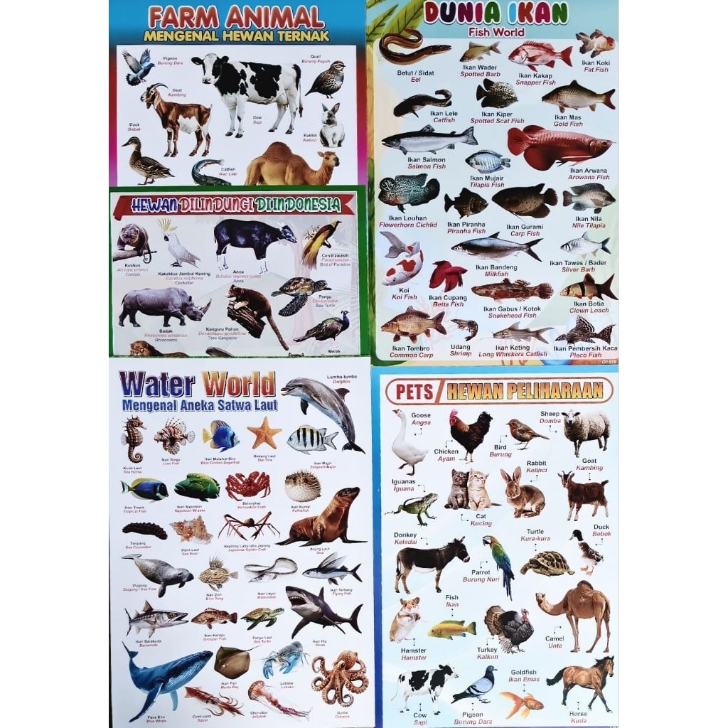 Poster Edukasi Anak / Hewan Peliharaan