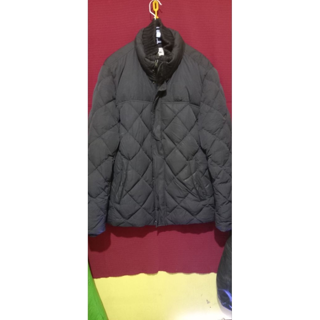 Jaket Bulu Angsa Lacoste