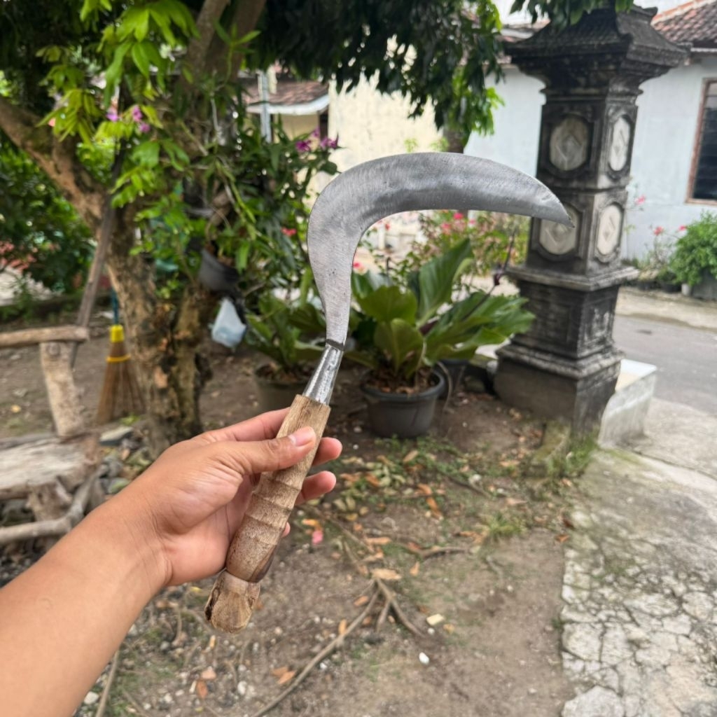Alat Berkebun Baja Super Mencari Rumput Panjang Arit sabit pengaritan