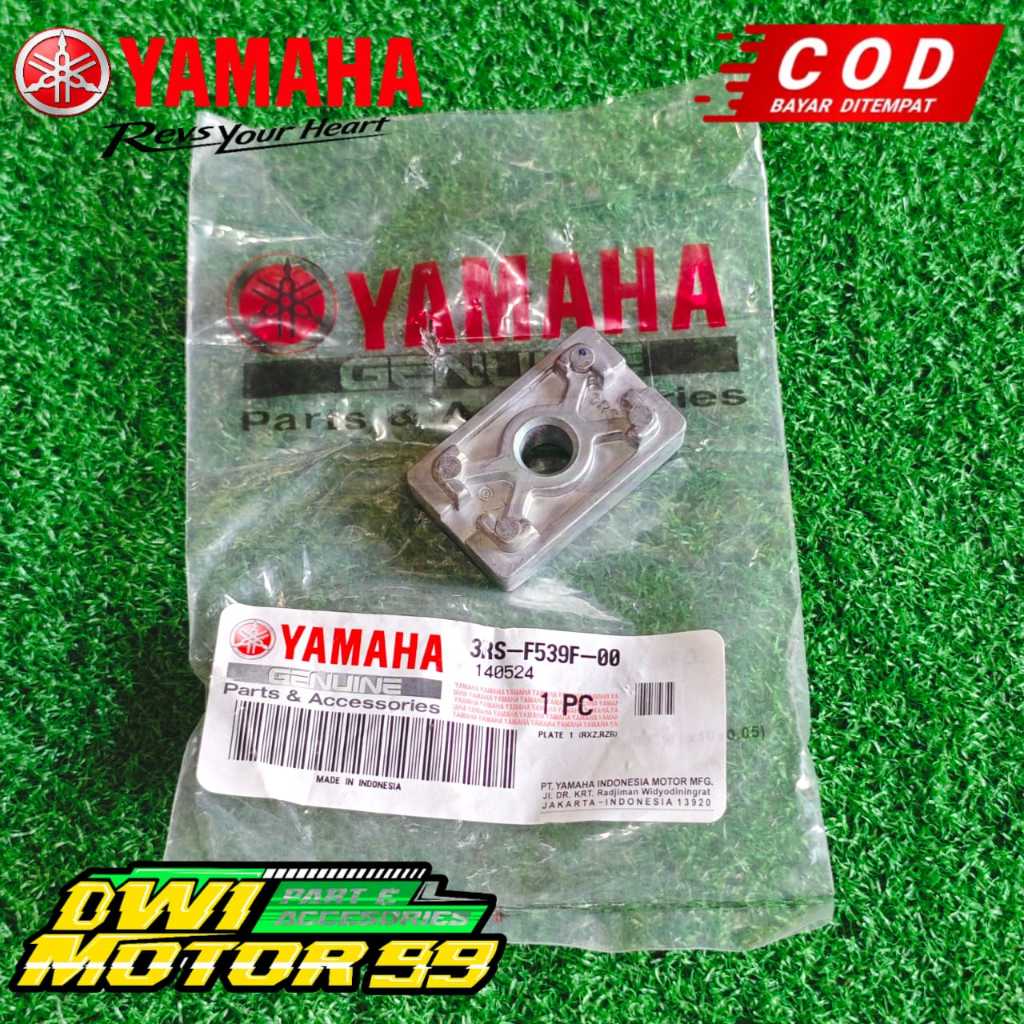 PLAT TUTUP ANTING ANTING STELAN RANTE RANTAI F1ZR FIZR FIZ R ORIGINAL 3RS-F539F