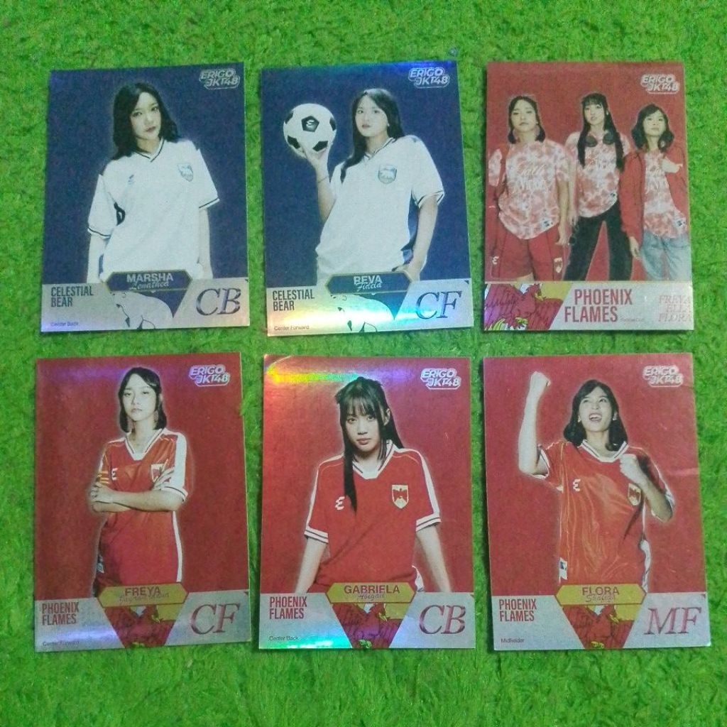 Panini Erigo x JKT48