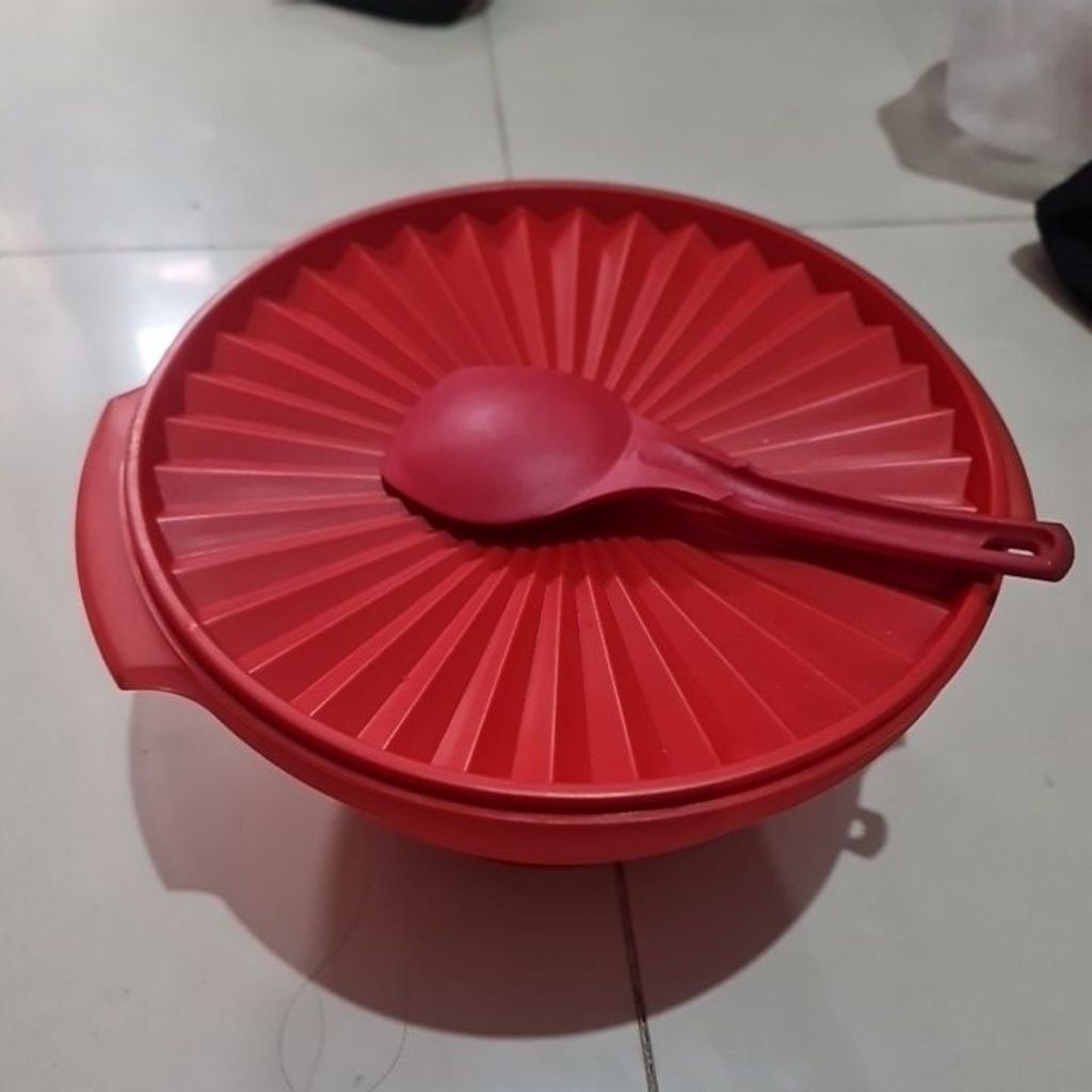 Tupperware large rice bowl