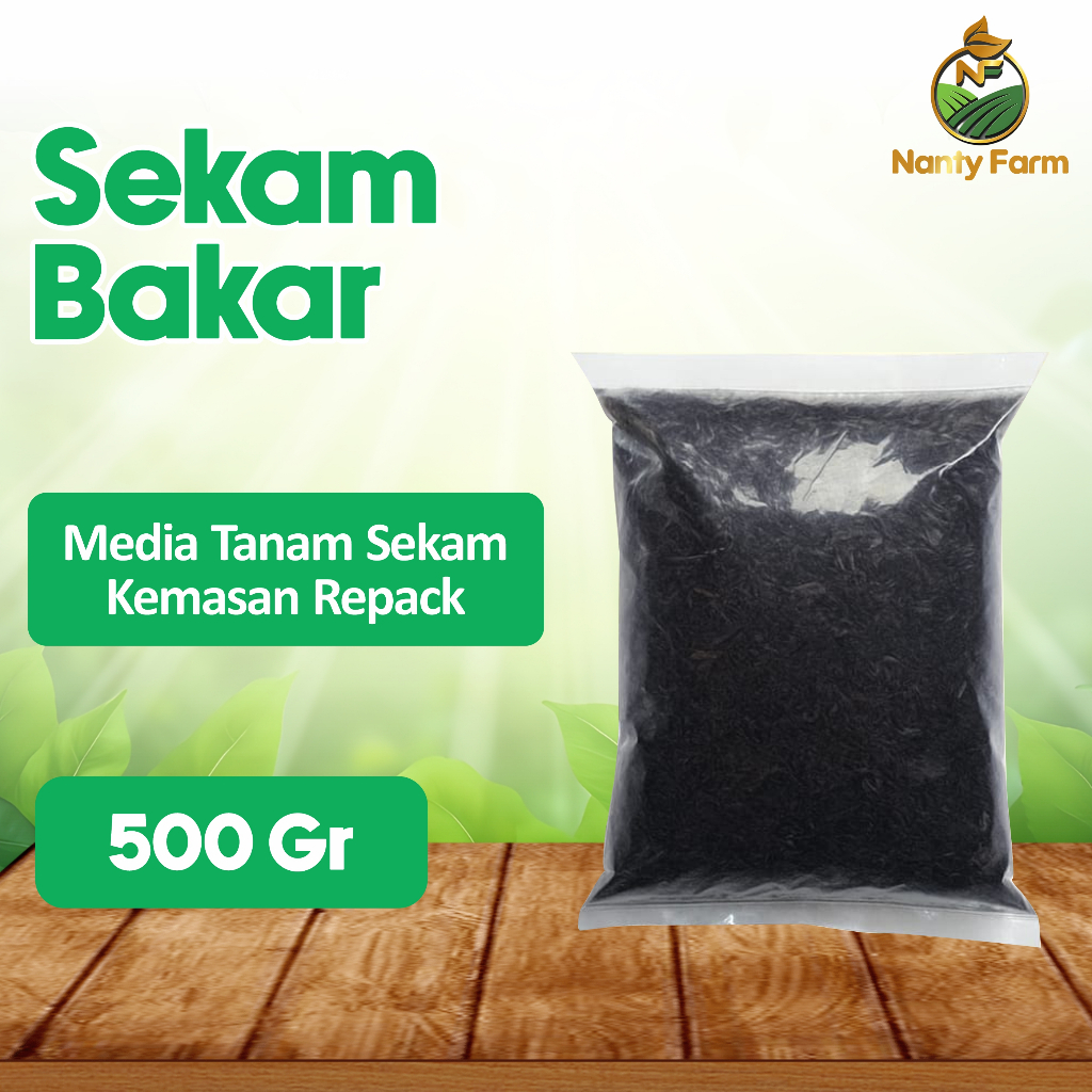 Sekam Bakar Sekam Mentah Media Tanam Sekam Arang Sekam Bakar 500 gram