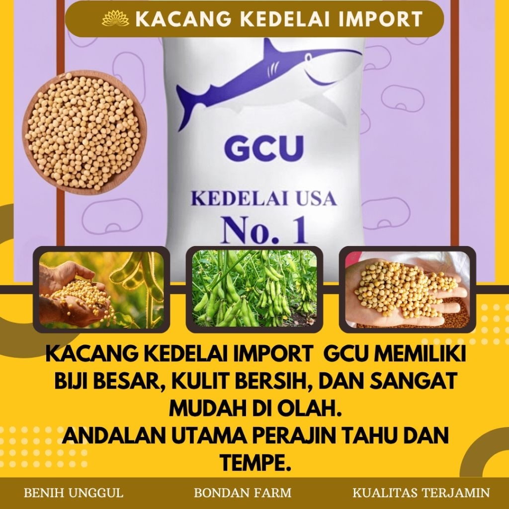 KACANG KEDELAI IMPORT - KEDELAI USA NO. 1