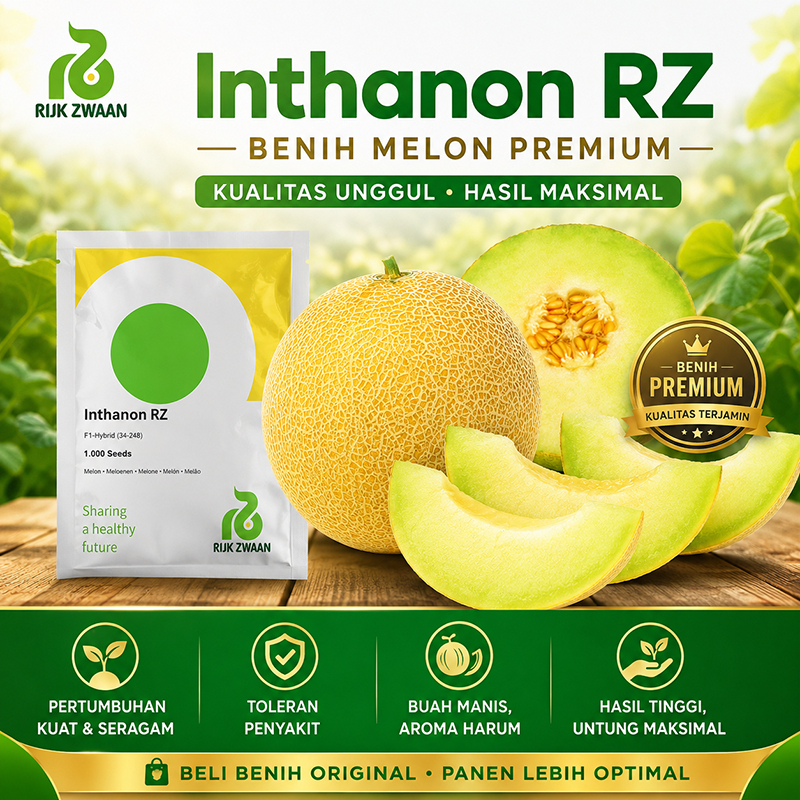 Biji Melon Inthanon Rijk Zwaan - Melon Golden Emerald 100 biji