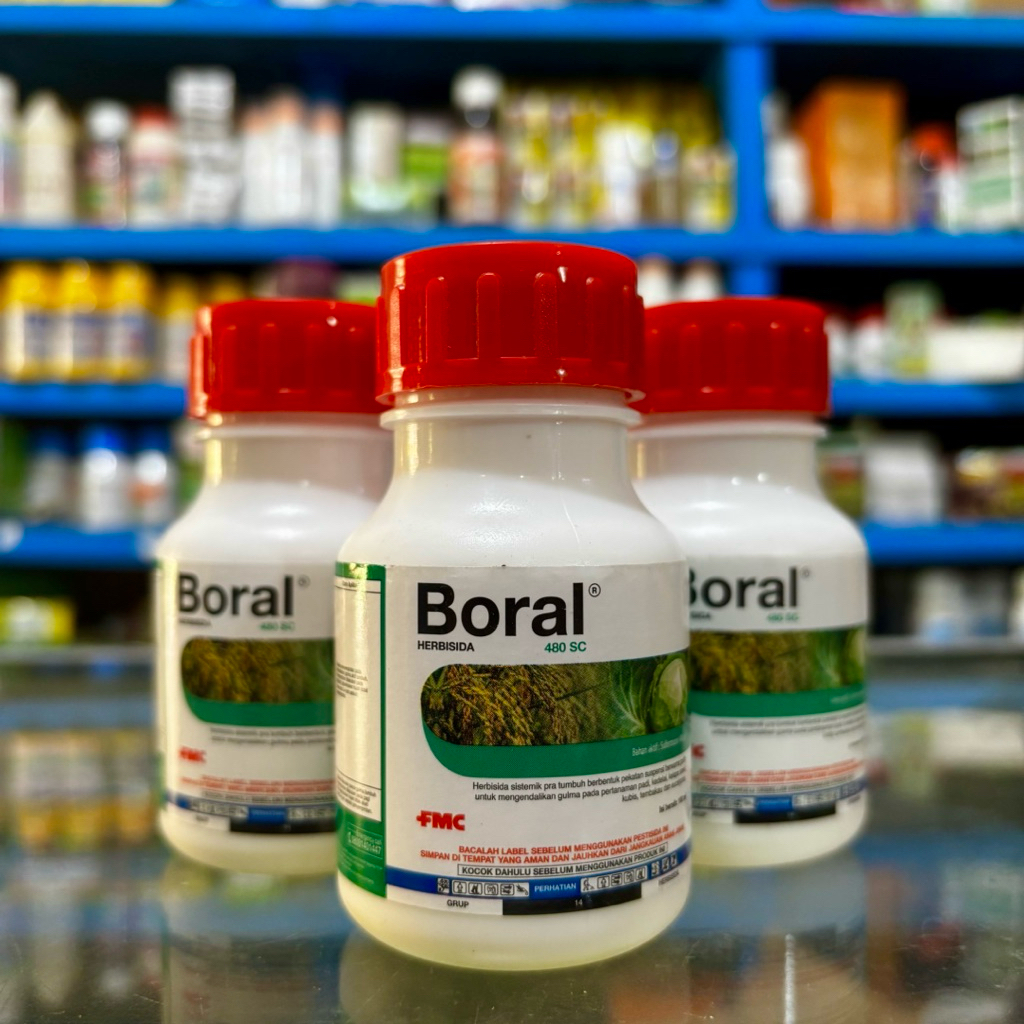 BORAL 480SC 100ml - Herbisida Sistemik Selektif Boral 480sc