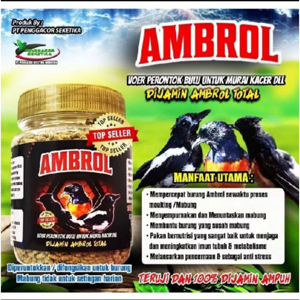AMBROL ORIGINAL COKLAT voer perontok bulu burung murai batu Kacer cendet vitamin burung mabung