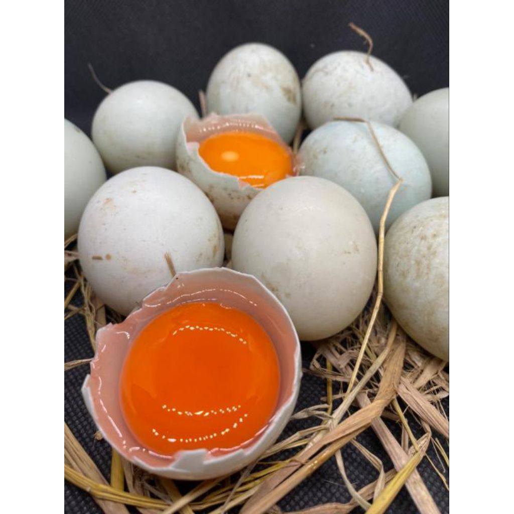 Telur Bebek Mentah Segar dengan Kuning Telur Omega Orange