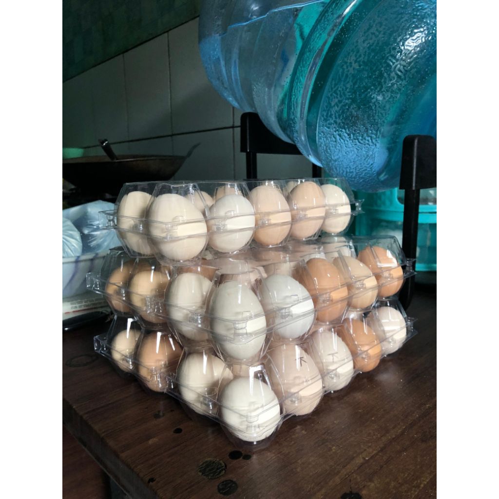 Telur Ayam kampung Yudistira Fertil