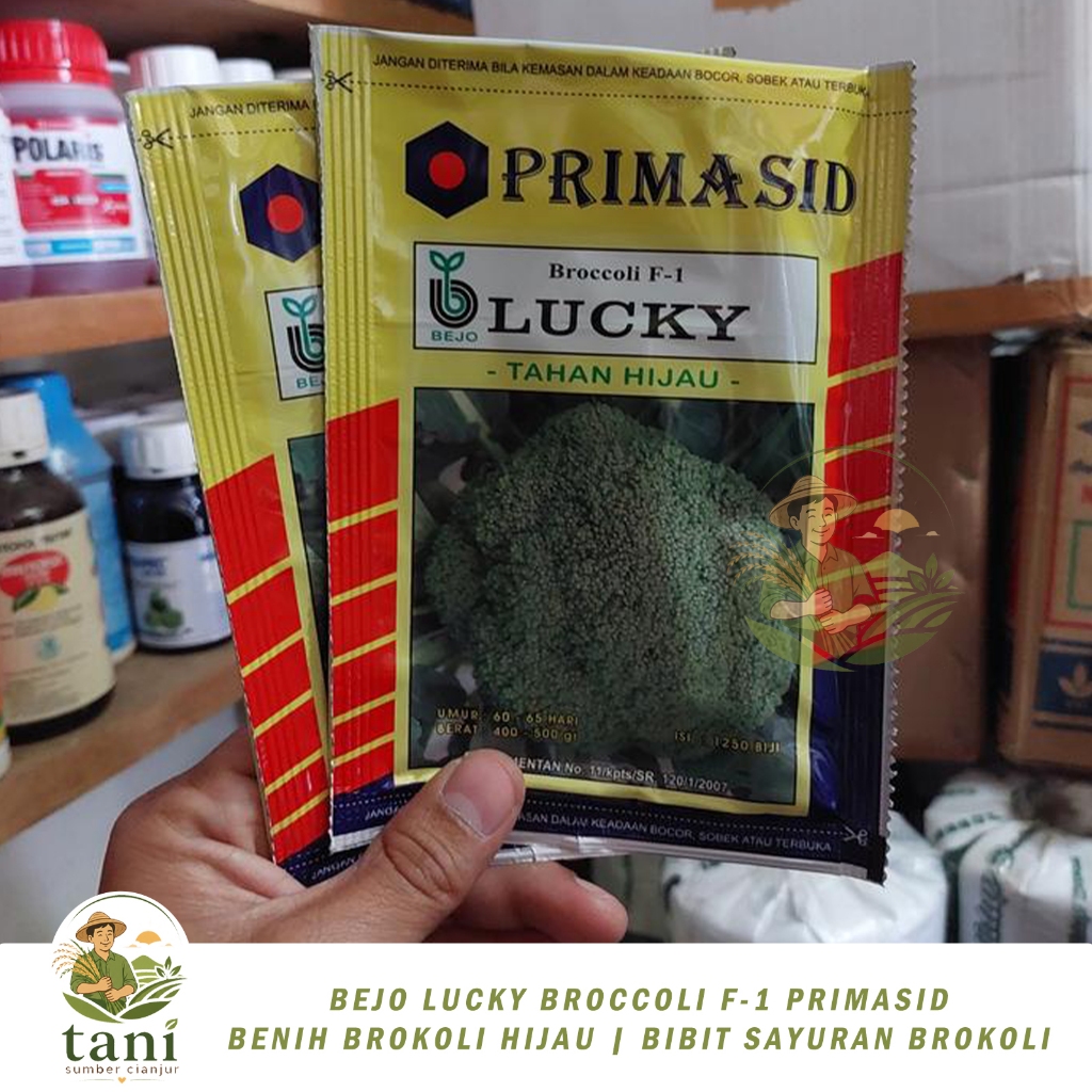 BEJO LUCKY BROCCOLI F-1 PRIMASID BENIH BROKOLI HIJAU | BIBIT SAYURAN BROKOLI