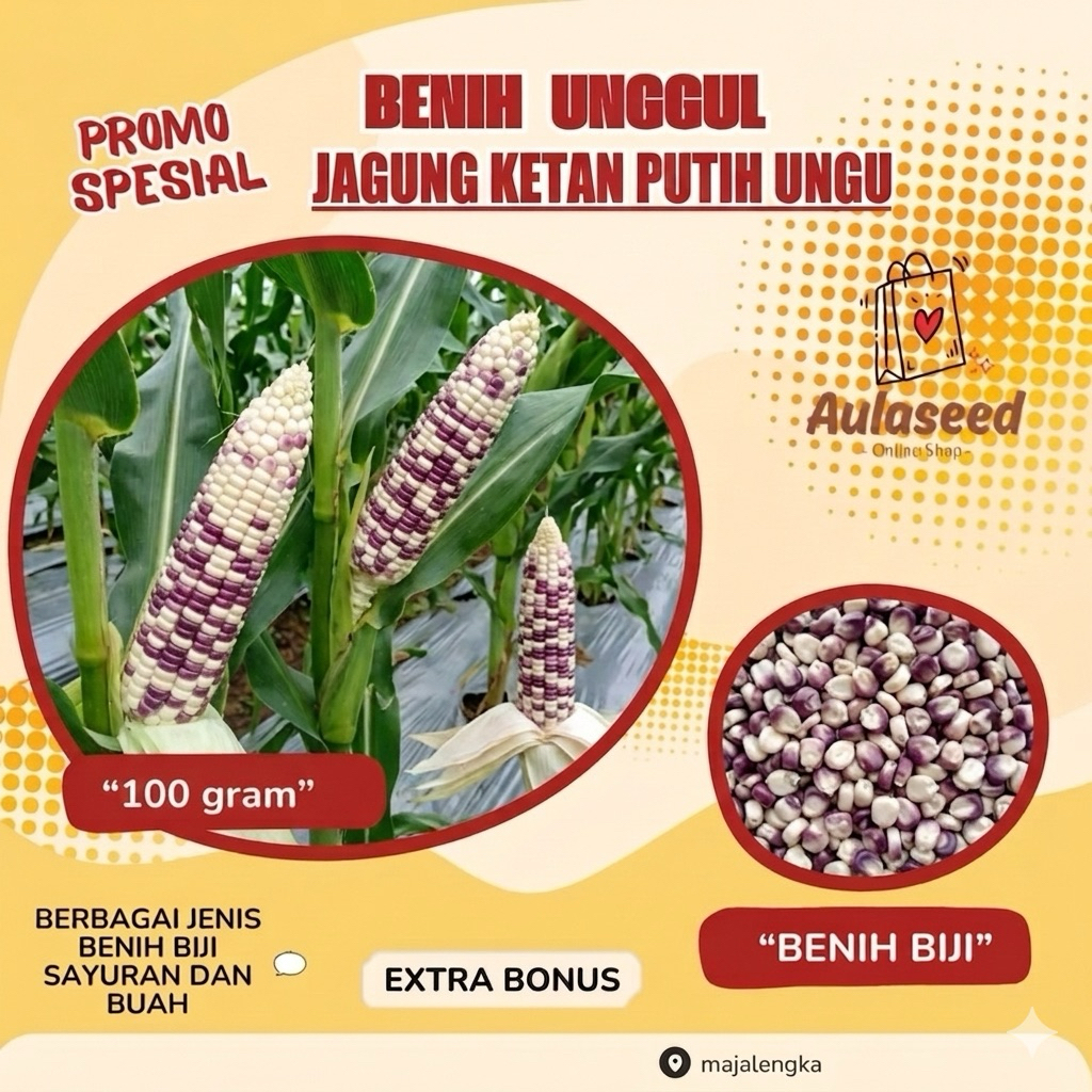 100 gram biji > Benih Biji Jagung Ketan Putih ungu> Jagung Ketan > Bibit Lobak