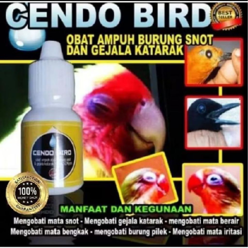 Cendo Bird Obat Burung Sakit Mata Katarak Berlendir Berair