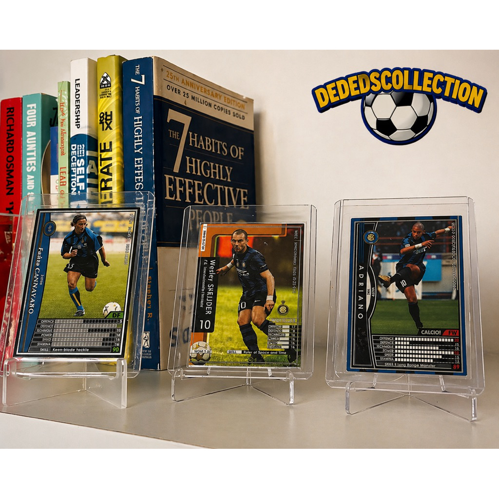 Panini Sneijder Adriano Cannavaro (Inter Milam)