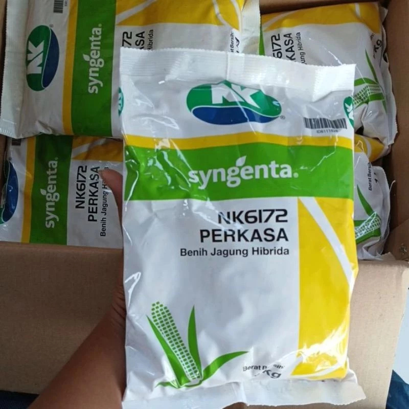 Benih JAGUNG NK PERKASA 6172 1KG #NK Perkasa