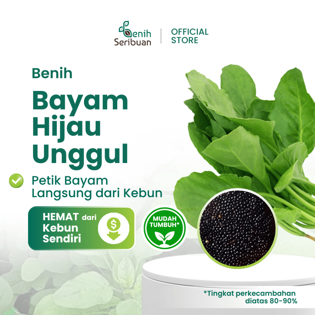 Benih Sayuran Bayam Hijau Hidroponik Unggul