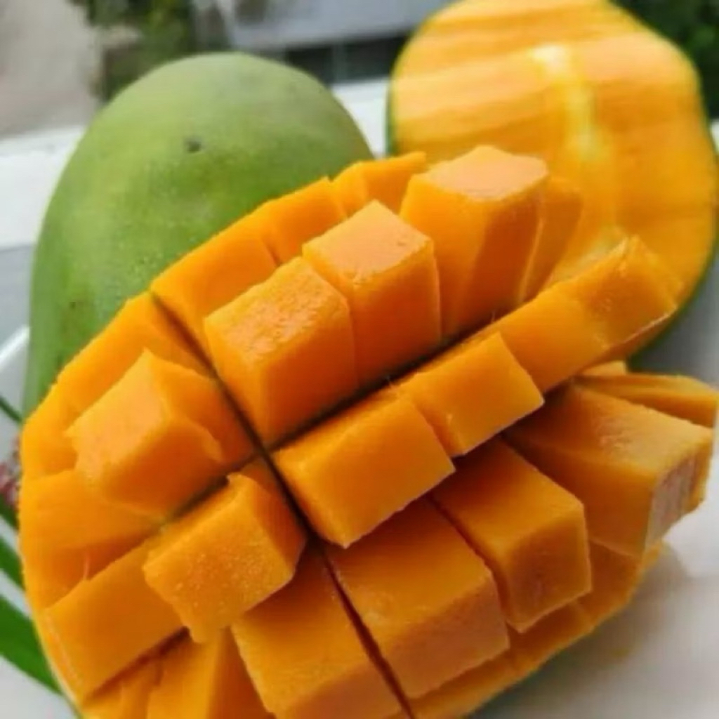 buah mangga harumanis PEKALONGAN matang fressh