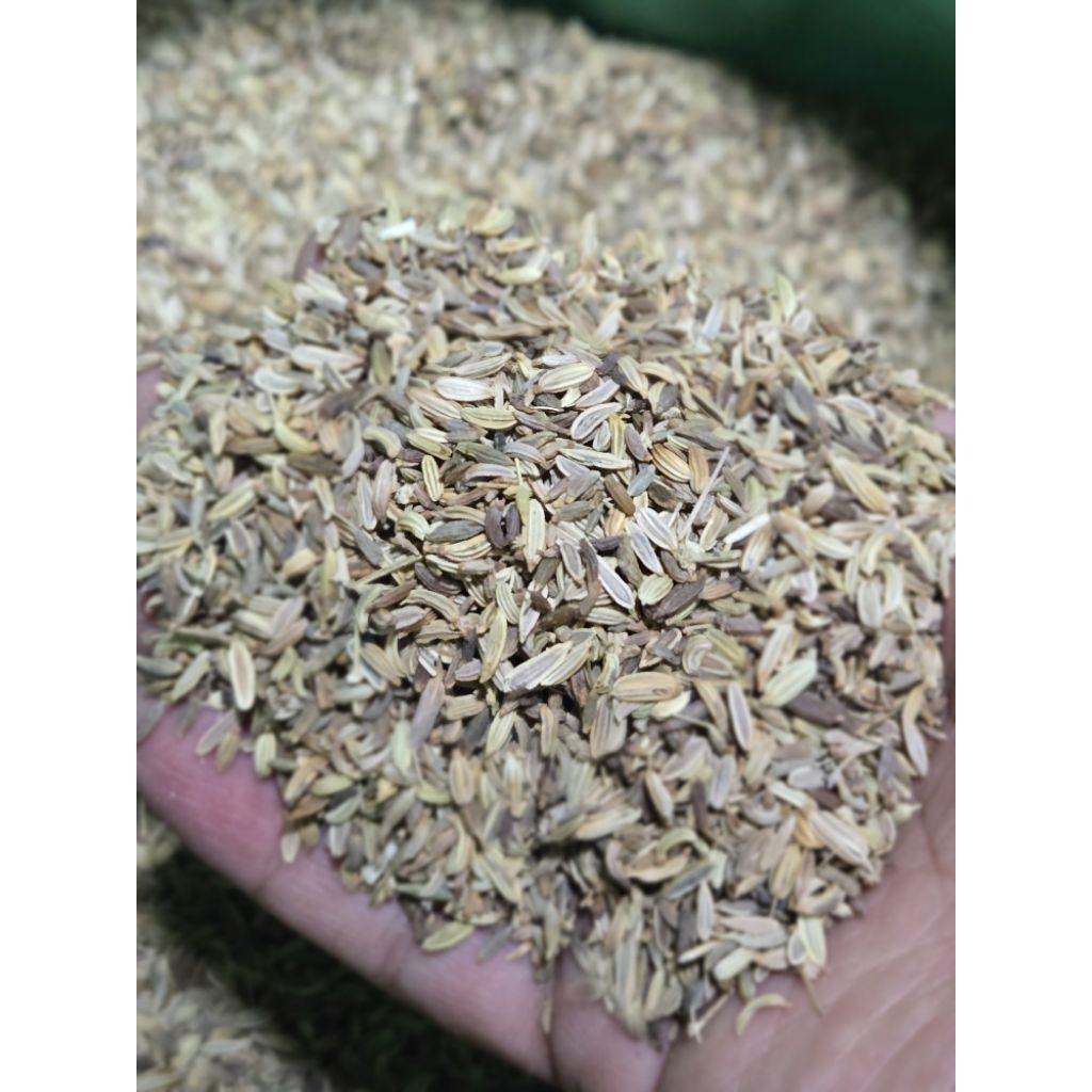 Adas manis / Biji Adas / Fennel seed