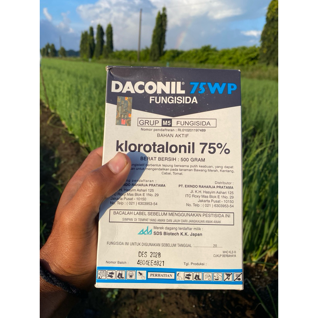 Fungisida Daconil 500 Gram
