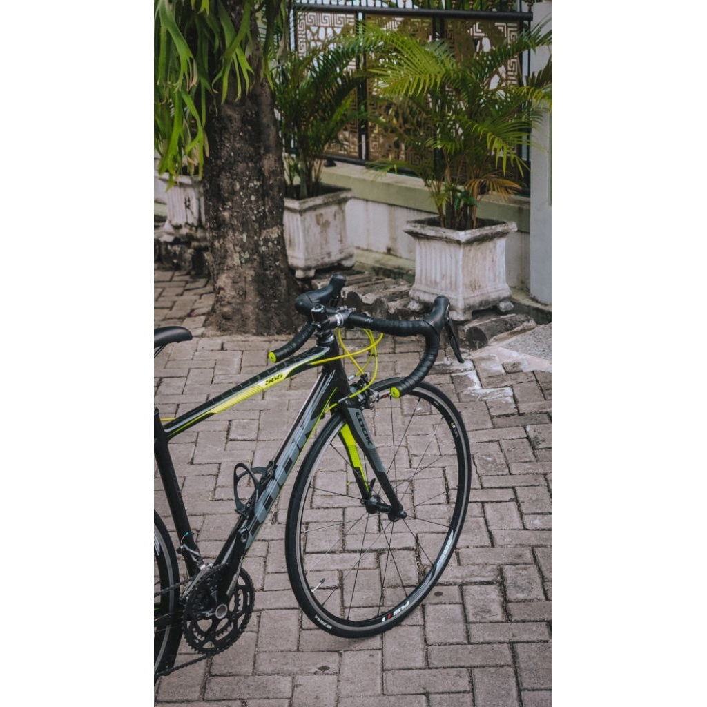 Sepeda Roadbike Carbon Look 566