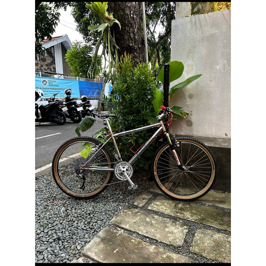 Raleigh USA m400 vintage