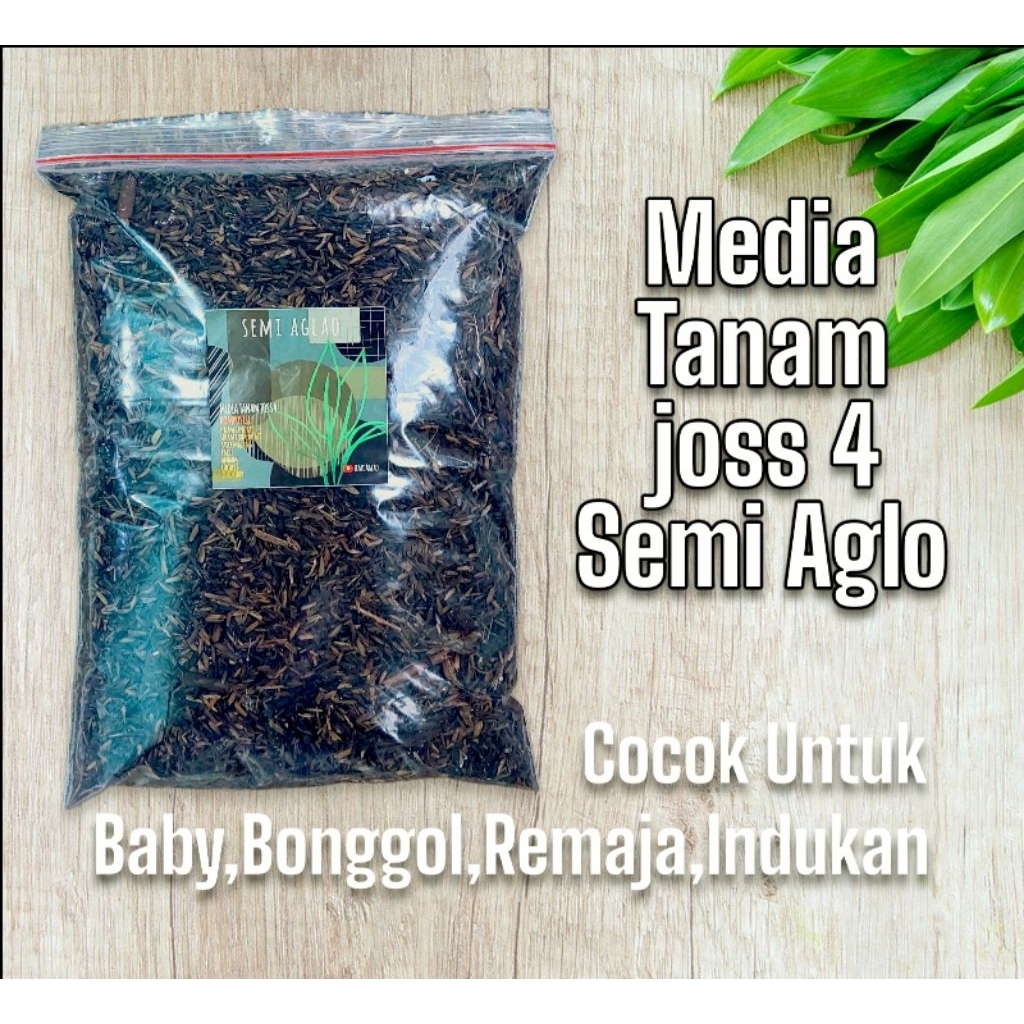 joss 4 semi aglao