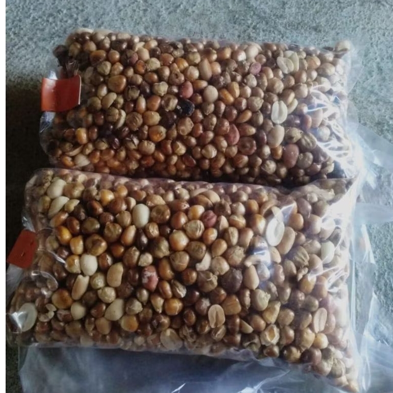 Jagung tayamum goreng pasir 100% olahan pasir oleh sepuh tempo dulu tanpa takut minyak