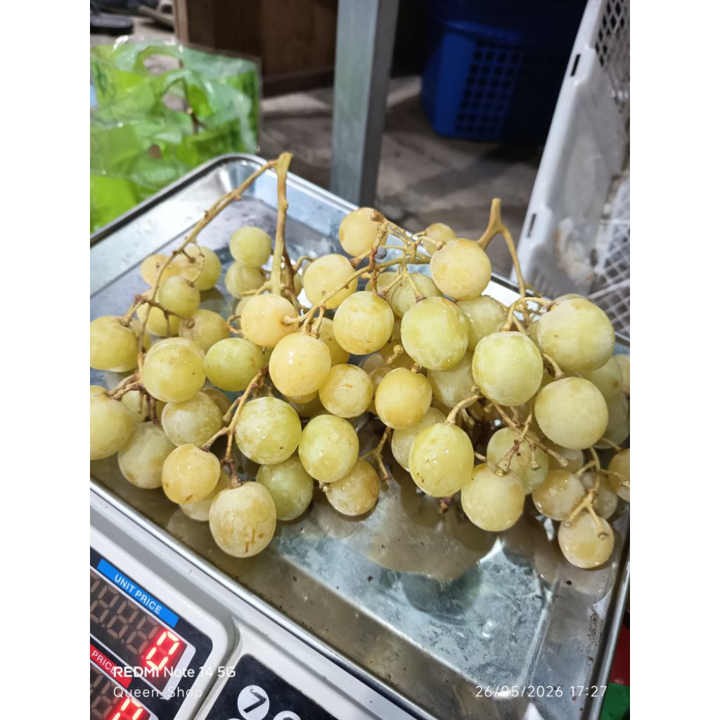 Anggur Hijau Manis Tanpa Biji