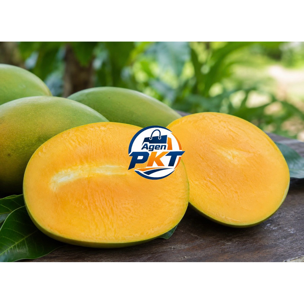Mangga Harum Manis 1 kg