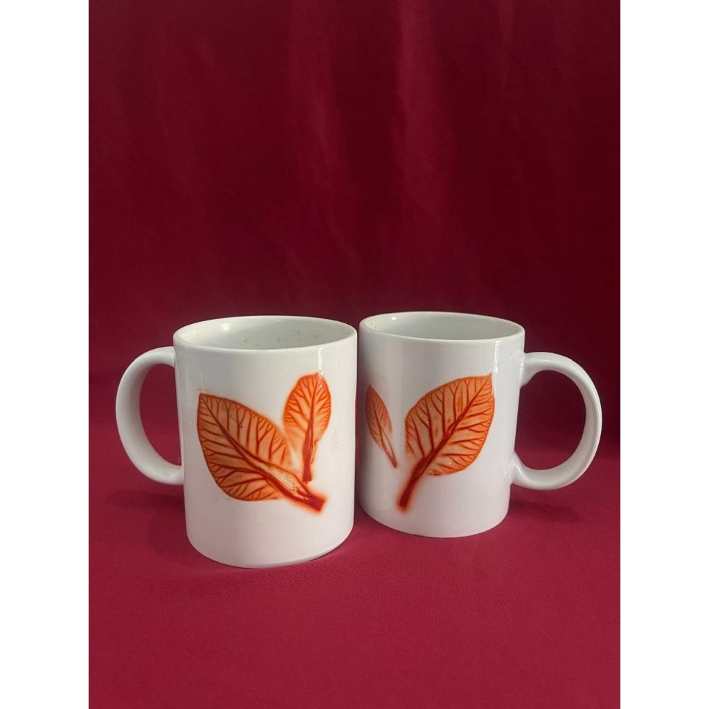 MugMotifDaunEcoprint