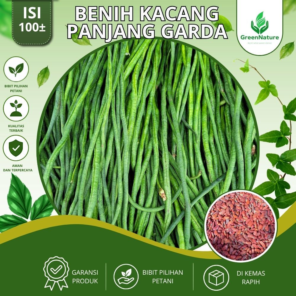 100± BIJI BENIH KACANG PANJANG GARDA